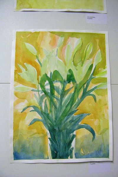 radovi_mimara_2014_28